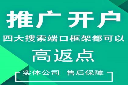 行业案例研究：SEM竞价托管的策略与挑战